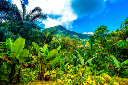 Ranomafana National Park, Madagaskar