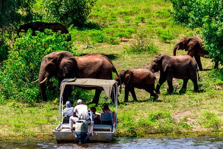Chobe River safari, Botswana