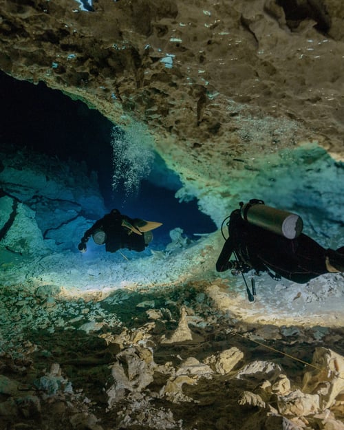 Diving in a cenote in Mexico