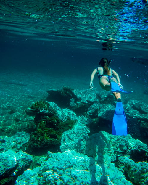 Diving in Costa Rica