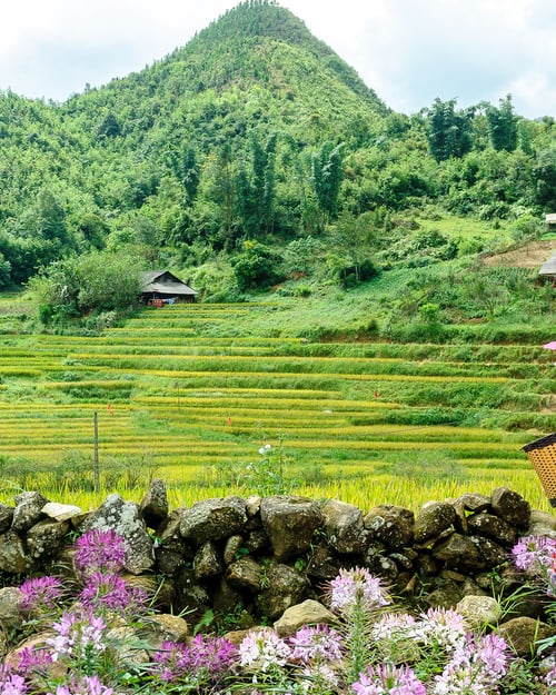 Explore Vietnam's stunnig nature. 