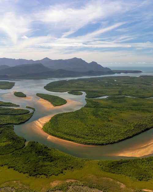 Aerial view of the Amazon