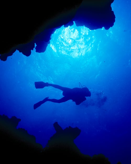 Complete your first dive in Egypt. 