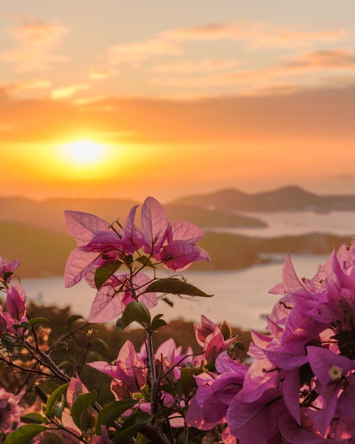 Charlotte Amalie, St. Thomas, Dansk Vestindien