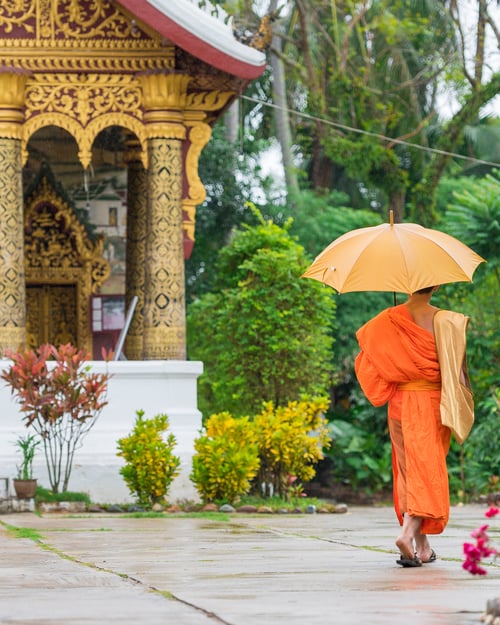 Buddhistisk munk i Luang Prabang, Laos