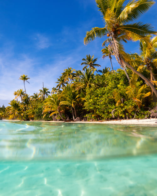 Svajende palmer og klart vand på Cook Islands