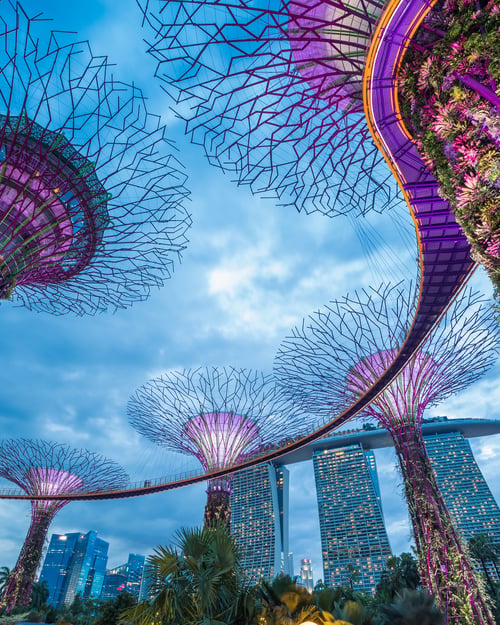 SIngapore's most iconic sight. 