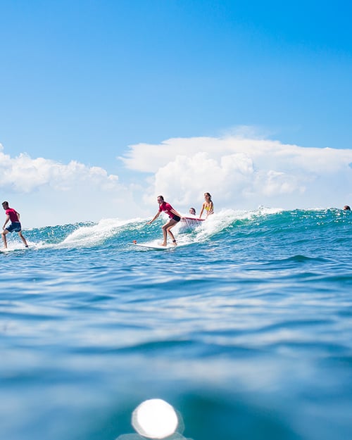 Learn to surf in Indonesia. 