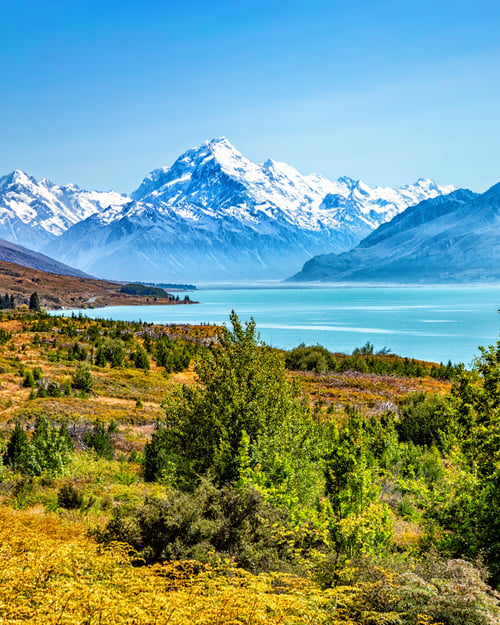 Tag på smukke vandreture i naturen i New Zealand