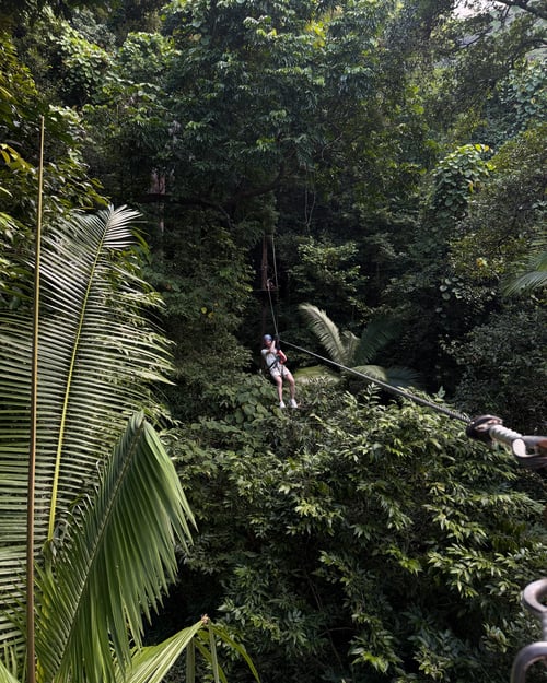 Jungle in Thailand