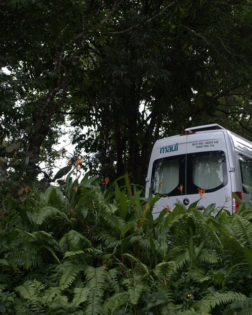 Explore North Queensland on a roadtrip.