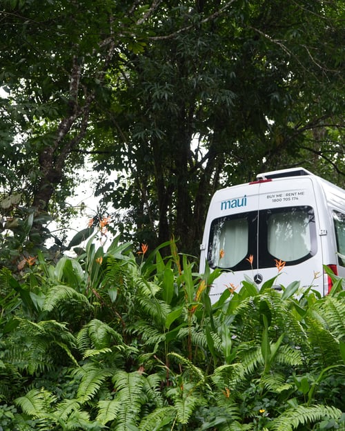 Explore North Queensland on a roadtrip. 