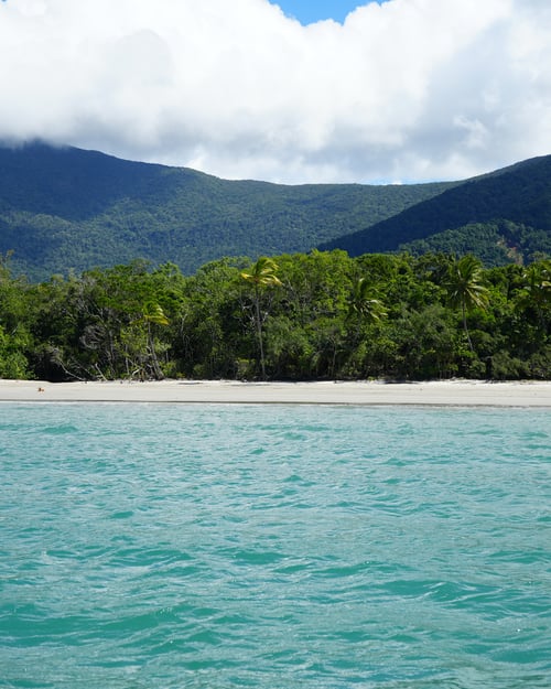 Cape Tribulation in North Queensland. 