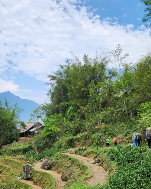 Trekking in Vietnam