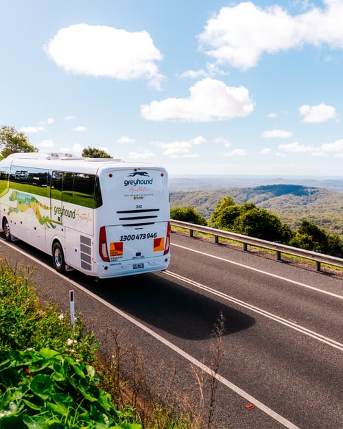Greyhound, Australia