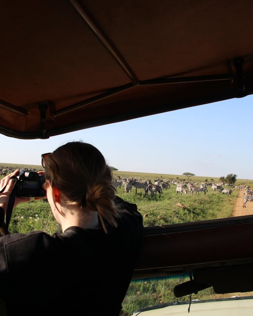 Spot wildlife in Africa