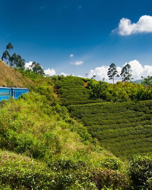 Scenisk togtur i Sri Lanka