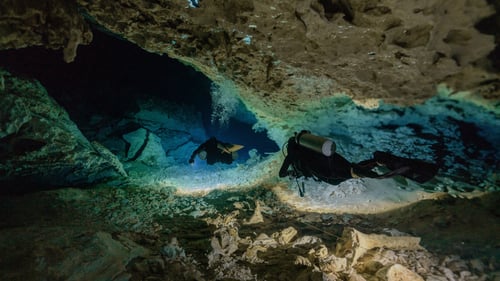 Dykning i en cenote i Mexiko