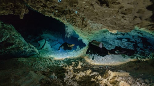 Diving in a cenote in Mexico