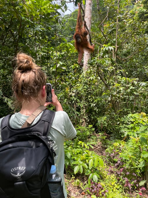 Sumatra.