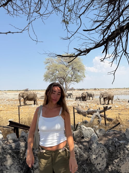 Safari i Tanzania.
