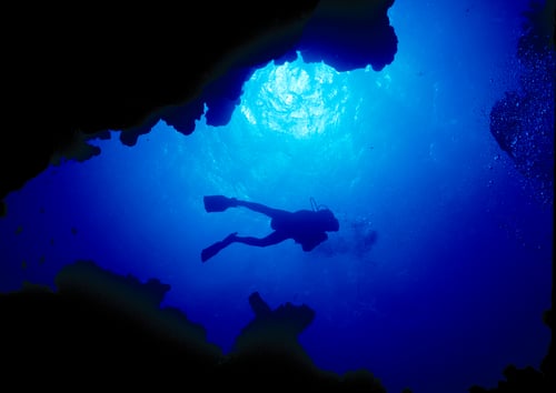 Complete your first dive in Egypt. 
