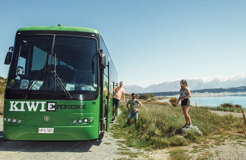 Kiwi Experience