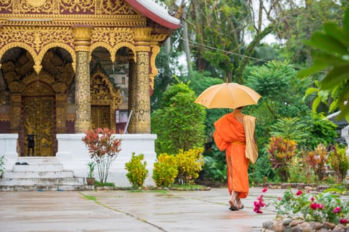 Buddhistisk munk i Luang Prabang, Laos