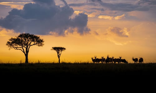 Sunset in Africa