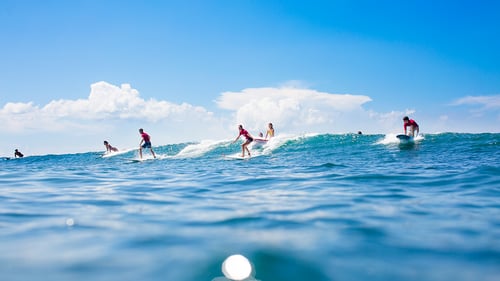 Learn to surf in Indonesia. 
