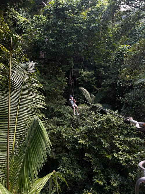 Jungle in Thailand