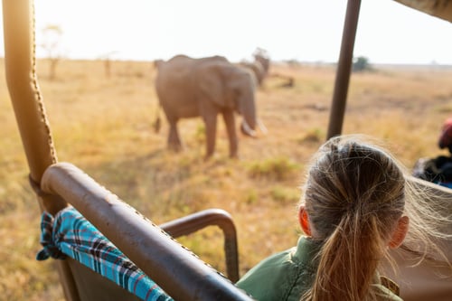 Safari in Africa