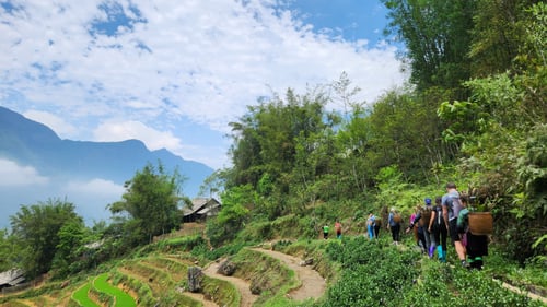 Trekking in Vietnam