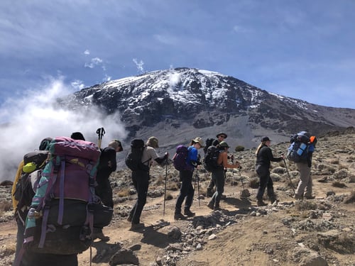 Trekking Kilimanjaro