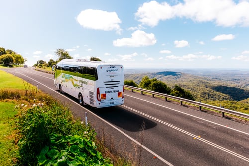 Greyhound, Australia