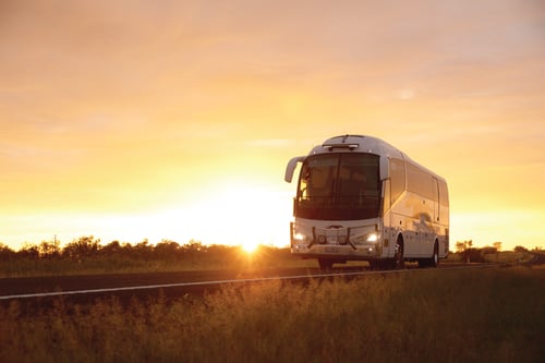Greyhound Australia