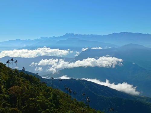 Trekking in Colombia