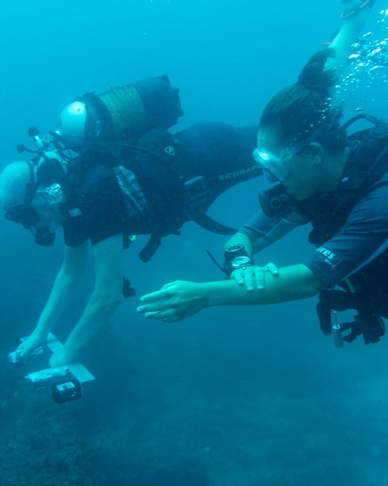 PADI-certifiering på Zanzibar