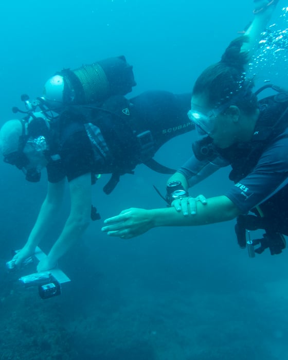 PADI certication in Zanzibar