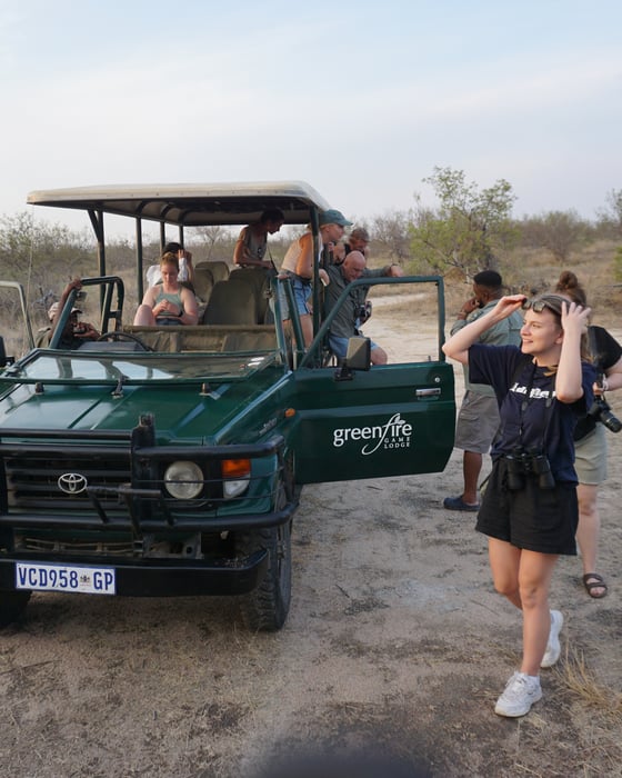 Safari drives in South Africa