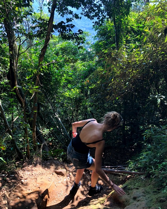 through the jungle