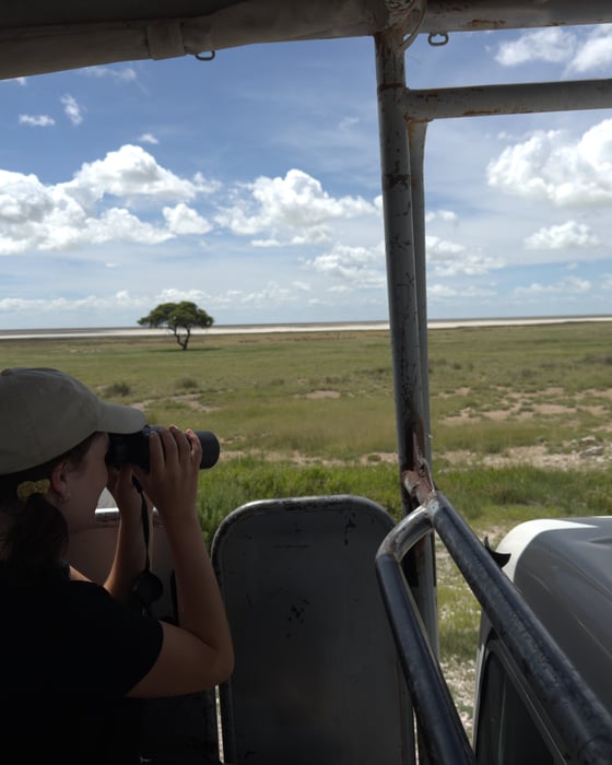 Safari Namibiassa