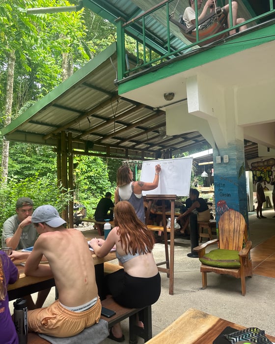 Spaans & surfen in Costa Rica