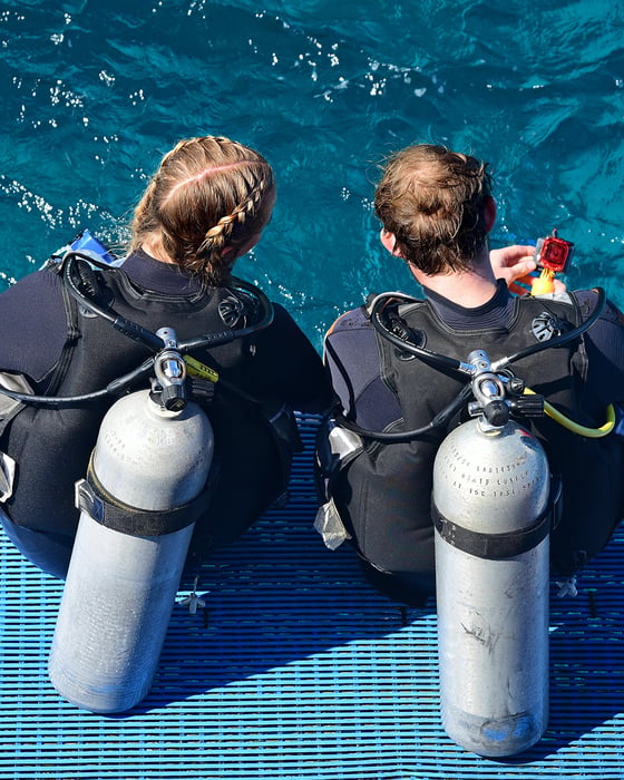 Learn to dive