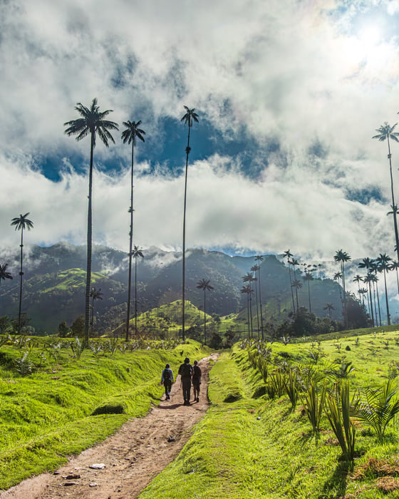 Hiking in Colombia