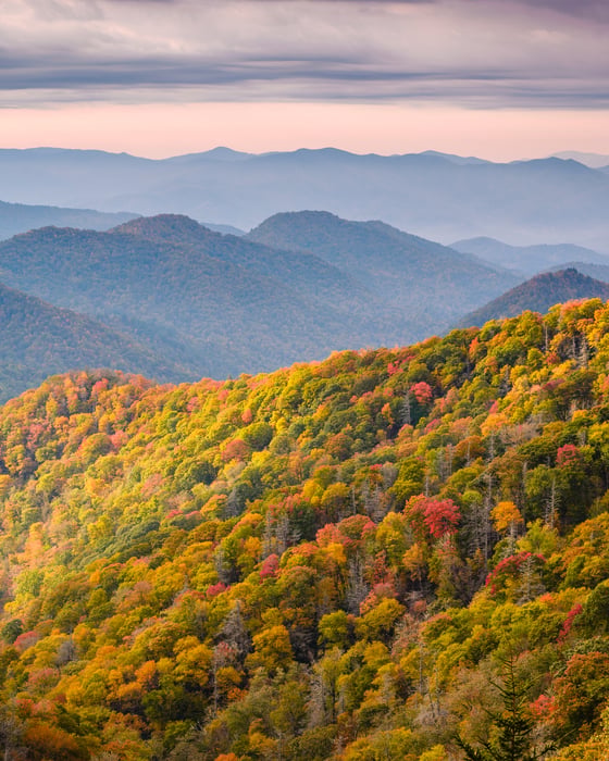 appalacian