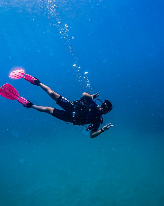 Diving experience