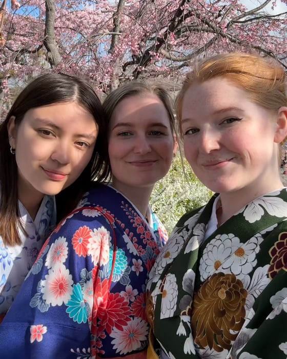 Sakura in Tokyo