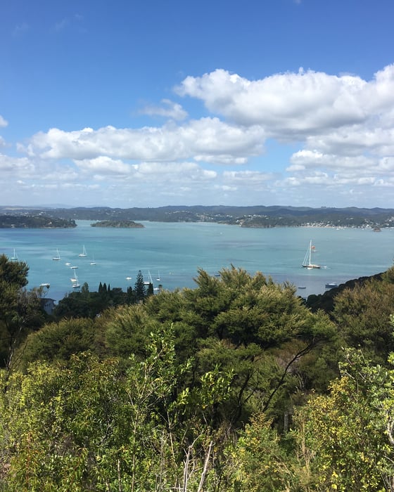 Bay of Islands