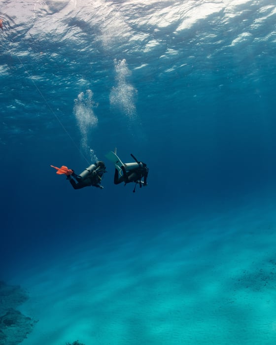 Divers in Mexico